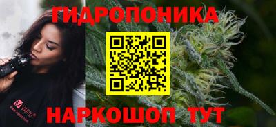 a pvp Пушкино