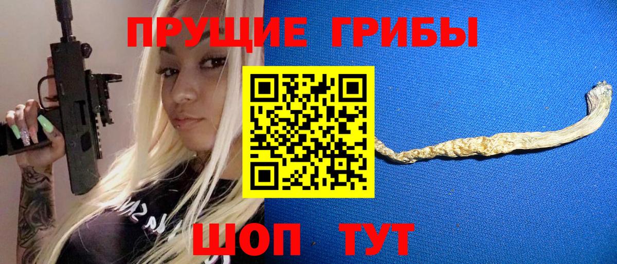 Псилоцибиновые грибы мицелий Острогожск